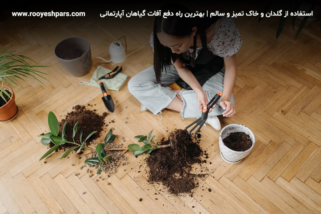 استفاده-از-گلدان-و-خاک-تمیز-و-سالم-بهترین-راه-دفع-آفات-گیاهان-آپارتمانی